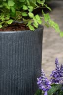 Scheurich Blumentopf Linetto High Schwarz Kunststoff Zylinder Bild 4