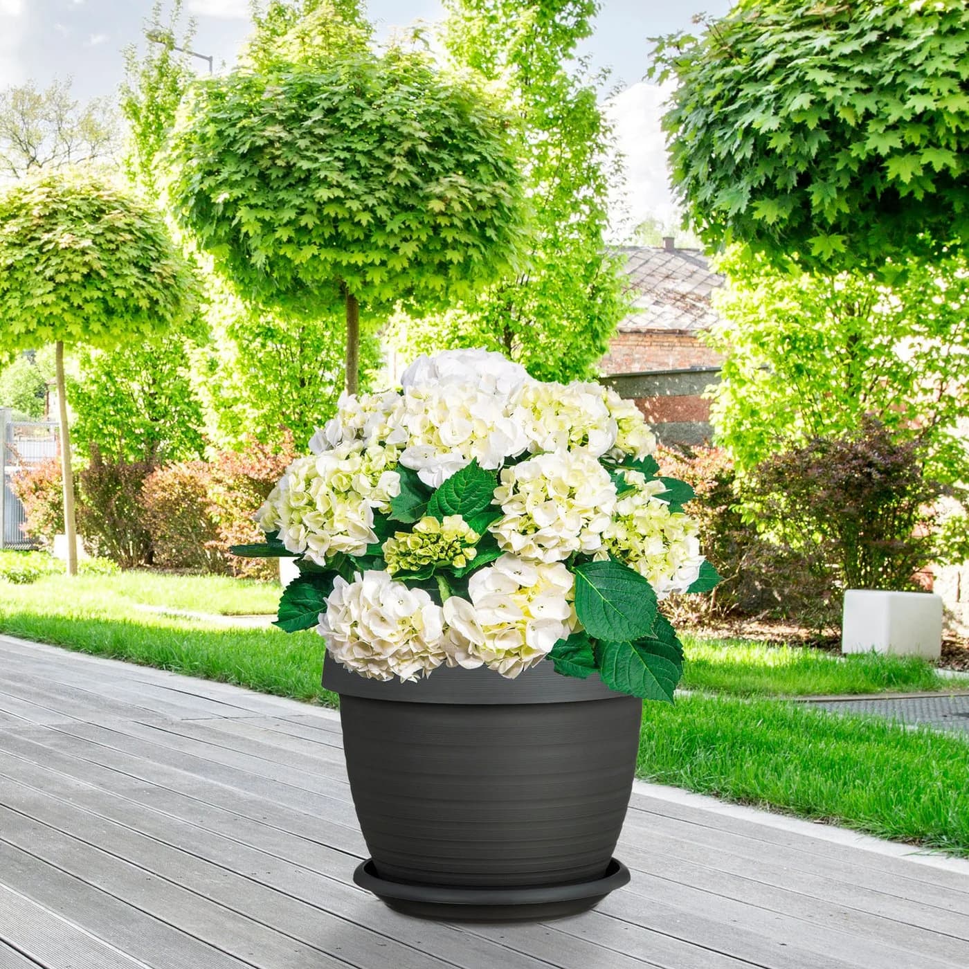 Scheurich Blumentopf Country Star 40 Set 3 St. mit Untersetzern - Bild 5