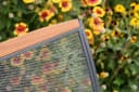 Merxx Gartensessel Patmos 2er Set Klappbar Akazienholz Bild 1