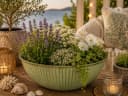 finehomegarden Pflanzschale Metall lackiert grün Ø44,5cm Bild 3
