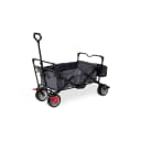 PINOLINO Paxi dlx Bollerwagen Anthrazit Schwarz mit Bremse Bild 1