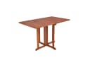Garden Pleasure Gartentisch Baltimore Braun Klappbar Bild 2