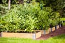 BigDean Kräuterbeet Hochbeet Palettenrahmen 80x60x19,5cm Gartenbeet Bild 5