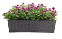 BigDean Blumenkasten 2er Set mit Untersetzer Rattan-Optik Bild 1