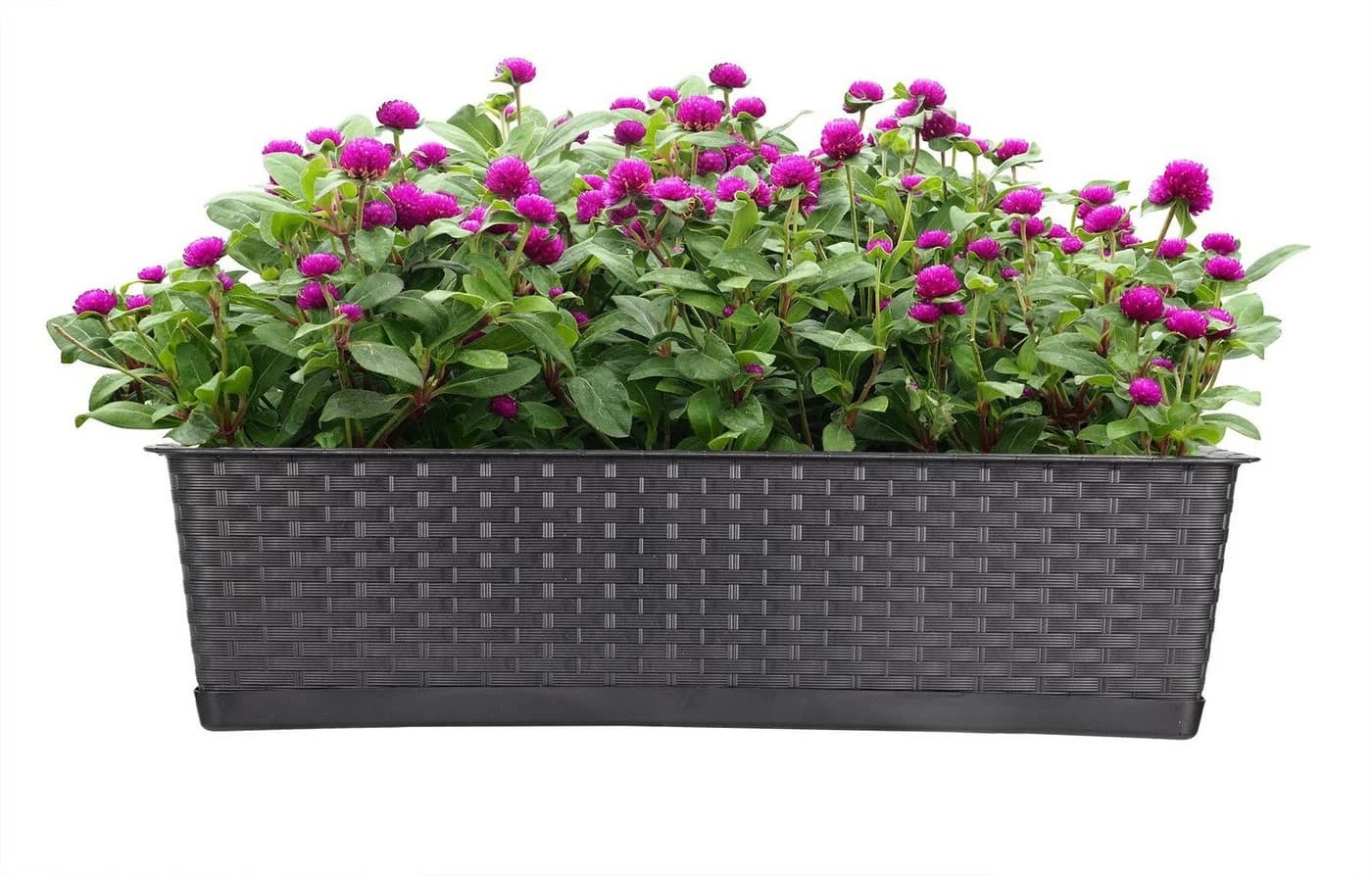 BigDean Blumenkasten 2er Set mit Untersetzer Rattan-Optik