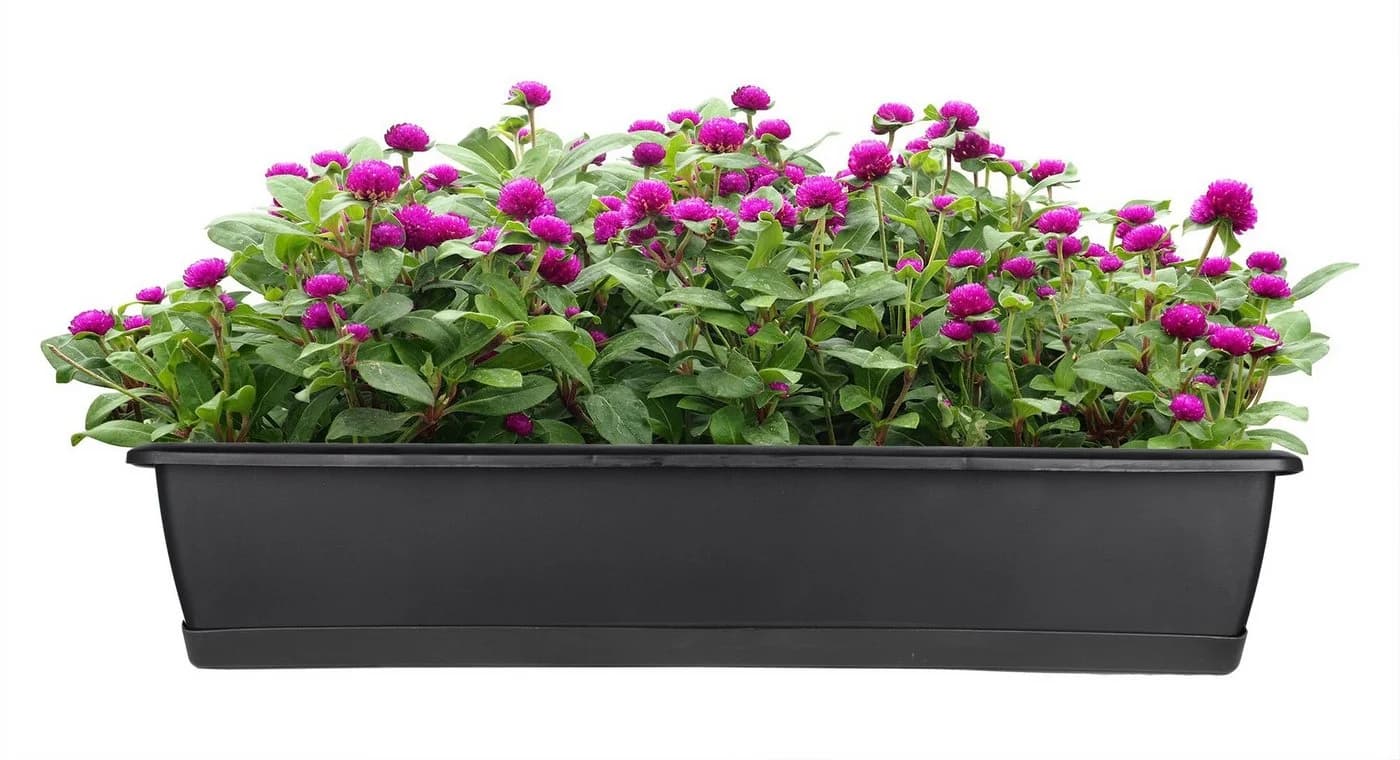 BigDean Balkonkasten Blumenkasten 3er Set mit Untersetzer UV-beständig - Bild 4