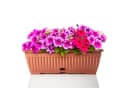 BigDean Blumenkasten Set 3x Terracotta mit Untersetzer Bild 3