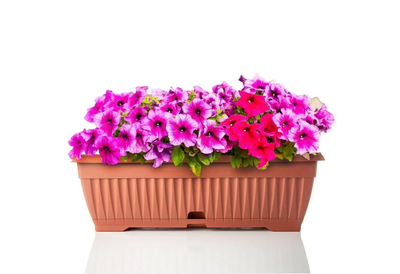 BigDean Blumenkasten Set 3x Terracotta mit Untersetzer - Bild 3