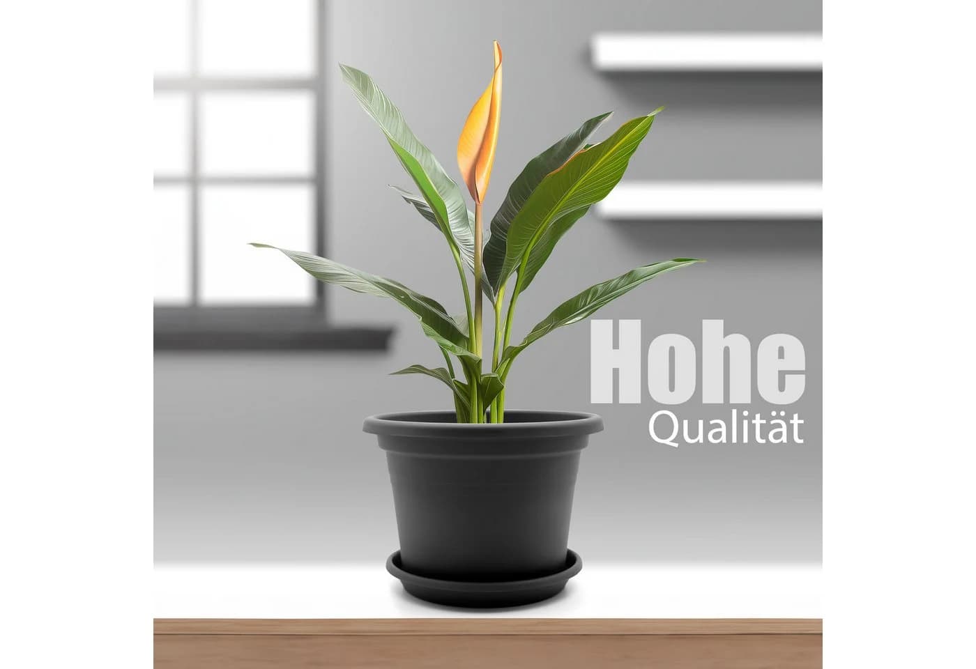 BigDean Blumentopf-Set 8-tlg. rund ø 25 cm Anthrazit mit Untersetzer