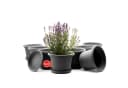 BigDean Blumentopf-Set 8-tlg. rund ø 25 cm Anthrazit mit Untersetzer Bild 2