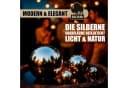 BigDean Dekokugel 6er Set Edelstahl Silber Teichkugeln Bild 5