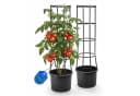 BigDean Tomatentopf XL mit Rankhilfe & Wasserspeicher Bild 2