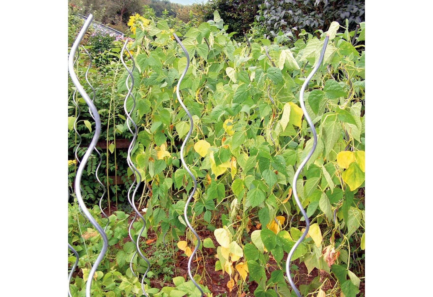 Bellissa Aluspirale Tomatenspirale Silber 180 cm - Bild 3