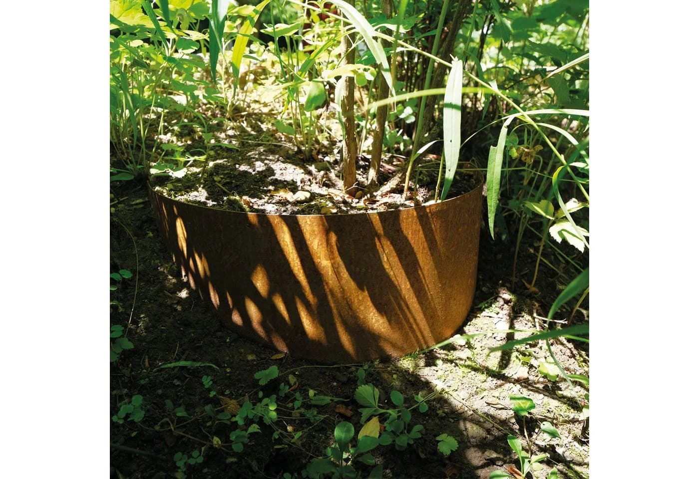 Bellissa Pflanzschale COLLINA Cortenstahl - Bild 3