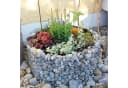 Bellissa Gabionen Hochbeet rund 81x40 cm feuerverzinkt Bild 4