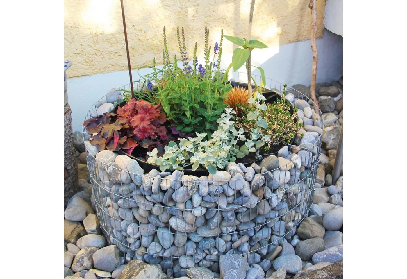 Bellissa Gabionen Hochbeet rund 81x40 cm feuerverzinkt - Bild 4
