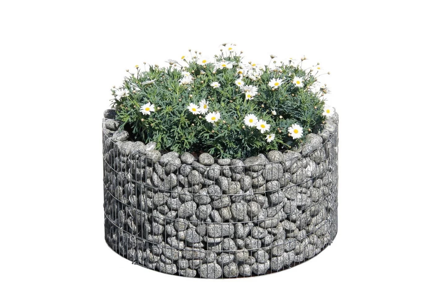 Bellissa Gabionen Hochbeet rund 81x40 cm feuerverzinkt - Bild 5