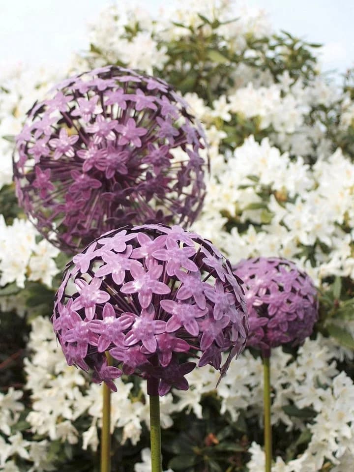 Paulslandhaus Dekokugel Pflanzstecker Allium Lila Grün Metall Gartenstecker