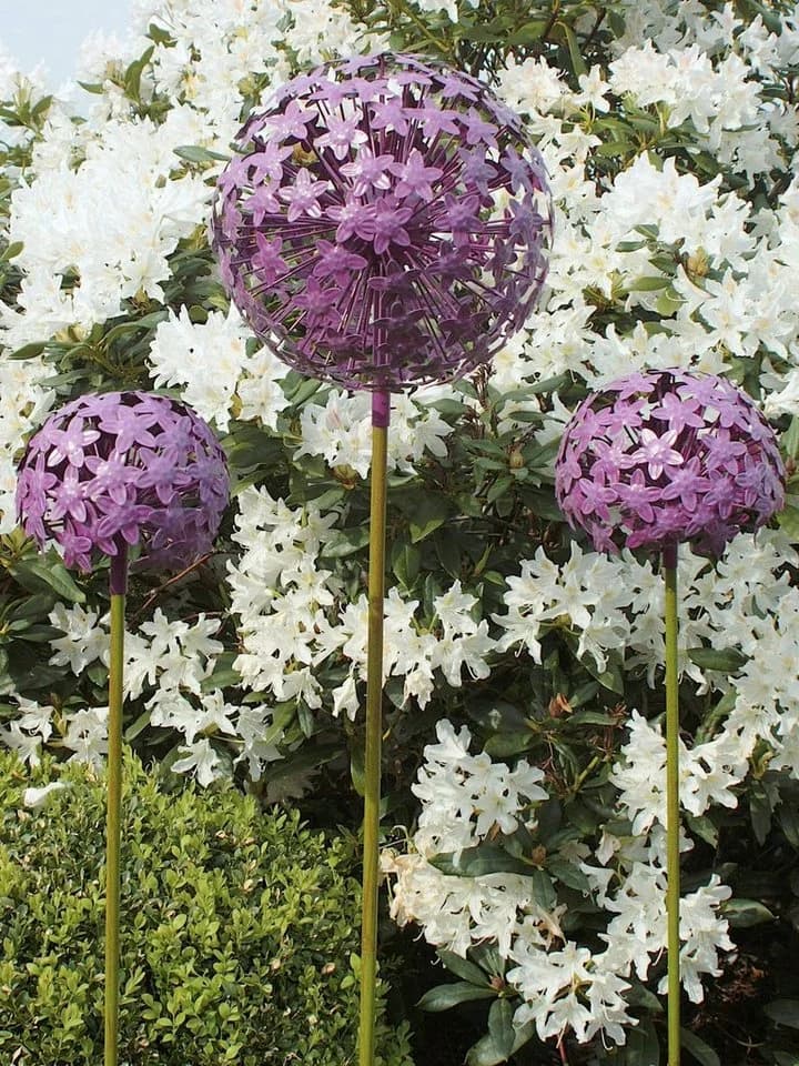 Paulslandhaus Dekokugel Pflanzstecker Allium Lila Grün Metall Gartenstecker - Bild 5