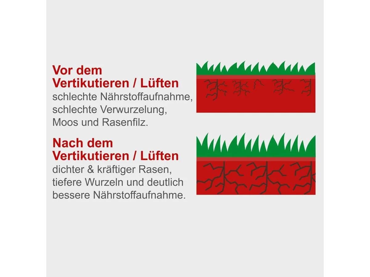 Scheppach Benzin-Vertikutierer SC55P 5,4 PS 40 cm Arbeitsbreite - Bild 5