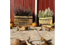 tegawo Holzkiste Farmers Market Natur FSC-Holz Bild 3