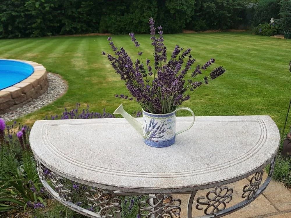 AMBIENTE HAUS Lavendel-Gießkanne klein Metall antik cremefarben - Bild 3