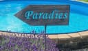 AMBIENTE HAUS Gartenstecker Paradise Grau Metall Bild 5