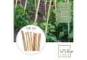 UNUS GARDEN Bambusstäbe 120 cm, 50 St. Natur Bild 1
