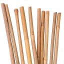 UNUS GARDEN Bambusstäbe 120 cm, 50 St. Natur Bild 2