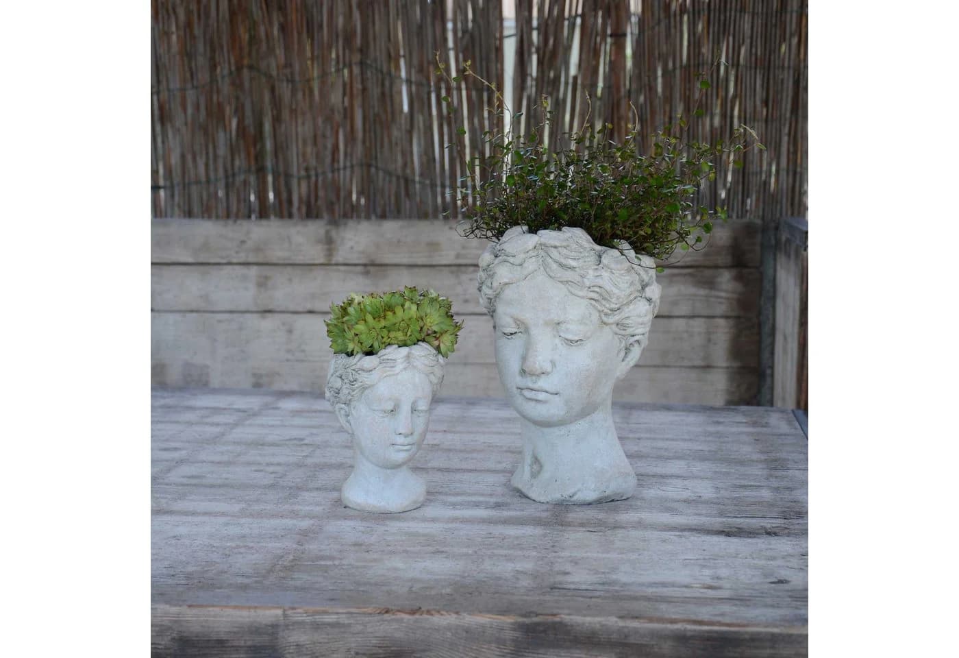UNUS GARDEN Blumentopf Büste Frauenkopf Beton Grau - Bild 5