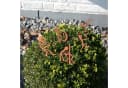 UNUS GARDEN Gartenstecker Rost Musiker 5er Set Bild 1