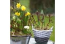 UNUS GARDEN Gartenstecker Rost Musiker 5er Set Bild 3