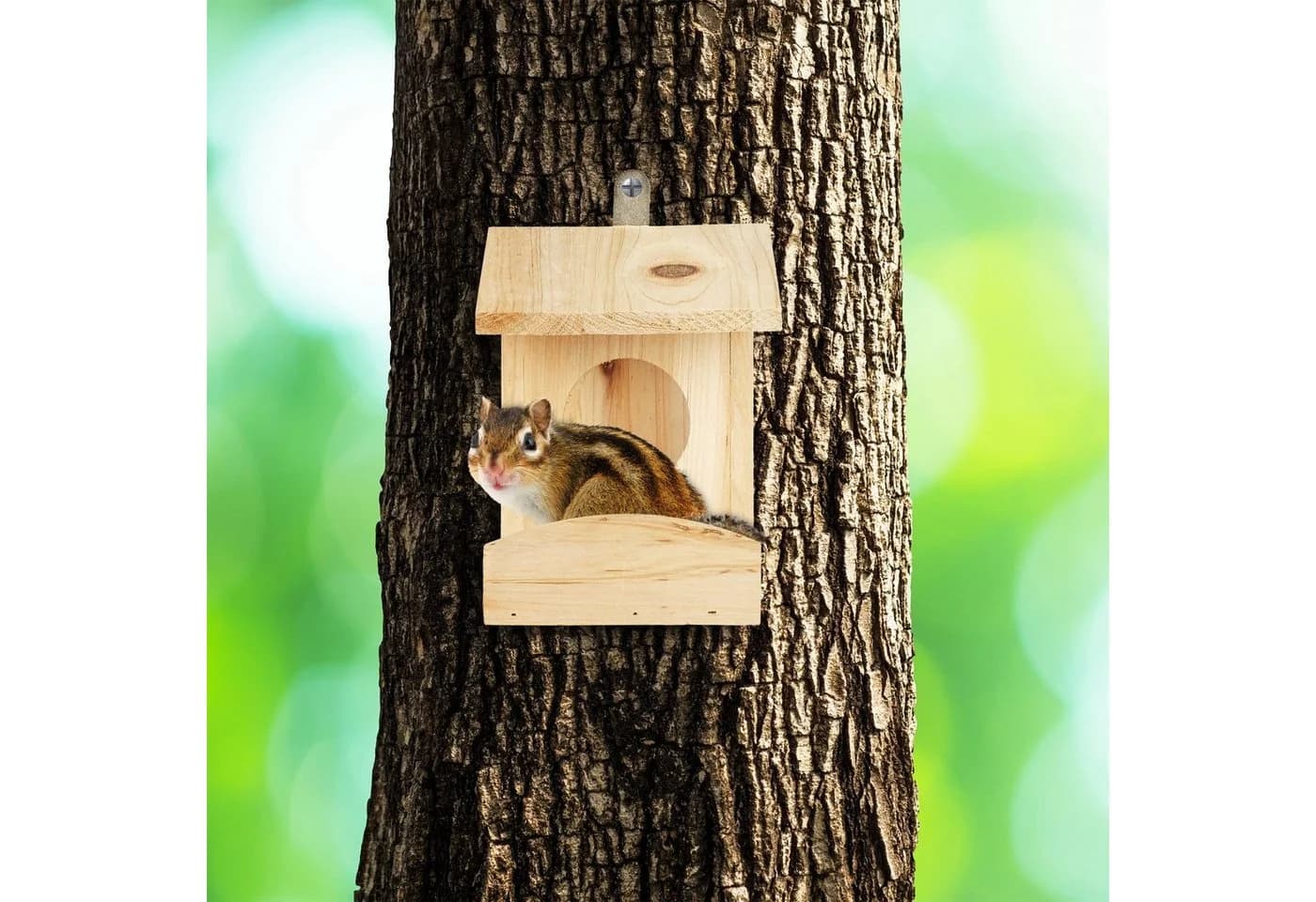 relaxdays Eichhörnchenkobel Futterhaus zum Hängen - Bild 5