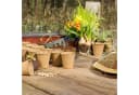 relaxdays Anzuchttöpfe 80 Stück Beige Zellulose Bild 5