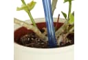 relaxdays 8er Set Bewässerungskugeln Blau PVC Tropfer Bild 1