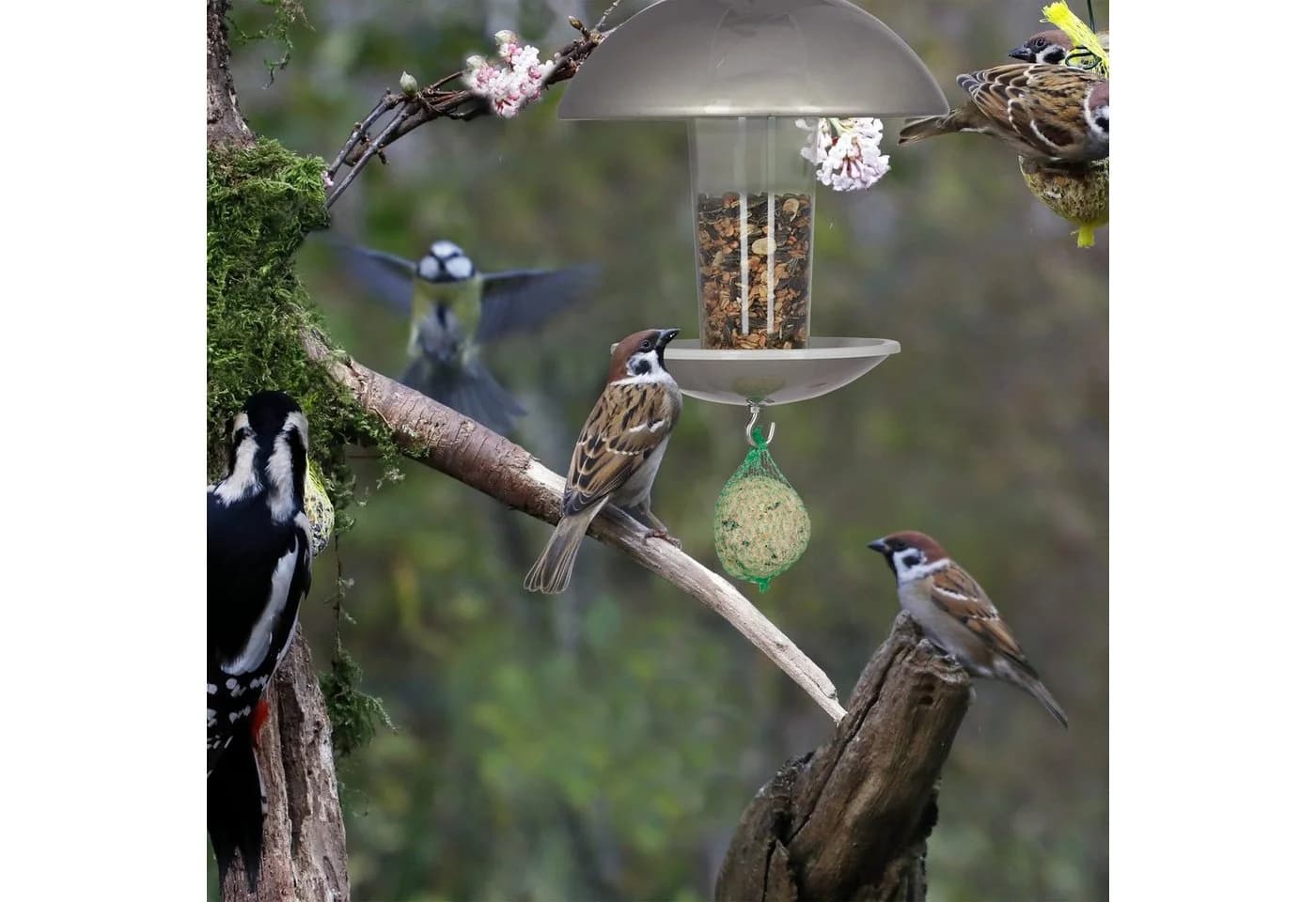 relaxdays Vogelfutterspender mit Stab Silber Transparent - Bild 3