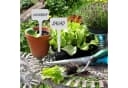 RELAXDAYS Gartenstecker Pflanzenschilder 100 St. Weiß Beschriftbar Bild 1