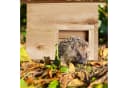 relaxdays Igelhaus aus Holz Natur Bild 1