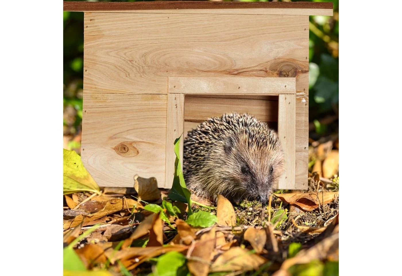 relaxdays Igelhaus aus Holz Natur