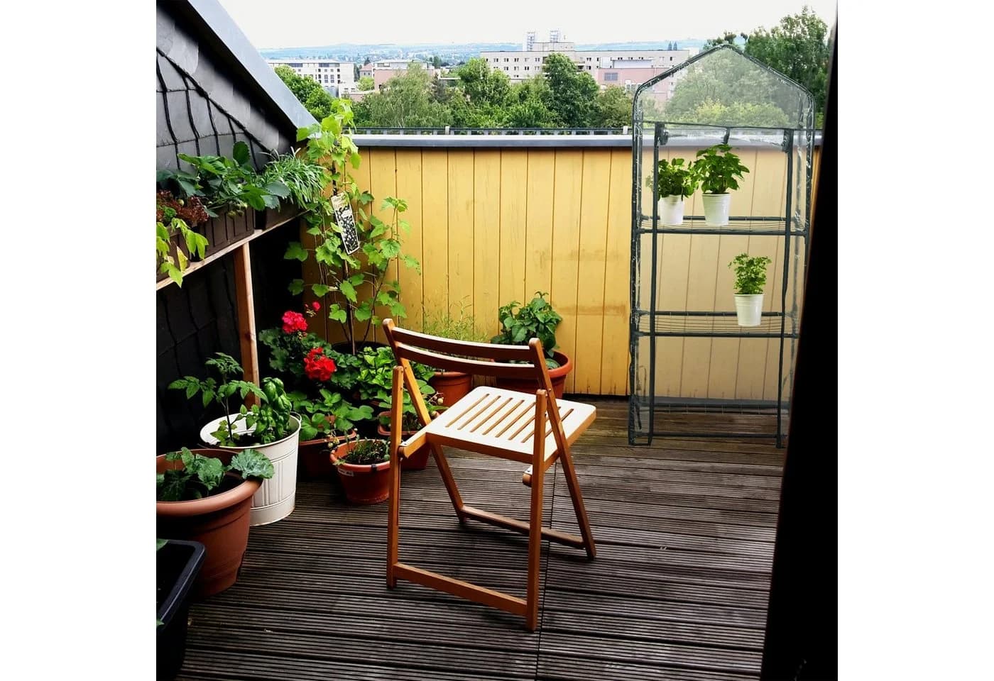 relaxdays Foliengewächshaus 3 Ebenen Schwarz Transparent - Bild 5