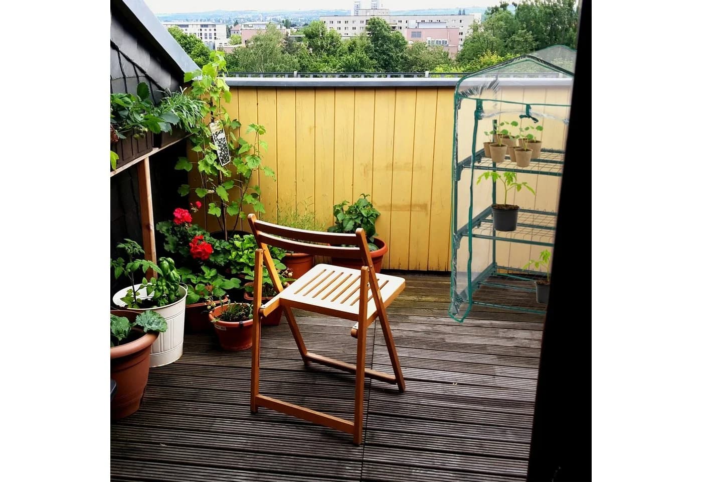 relaxdays Foliengewächshaus Balkon Grün Transparent - Bild 3