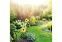 RELAXDAYS Windspiel 2er Set Sonnenblume Gelb Bild 1