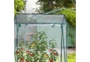 relaxdays Foliengewächshaus Transparent/Dunkelgrün mit Stecksystem Bild 5