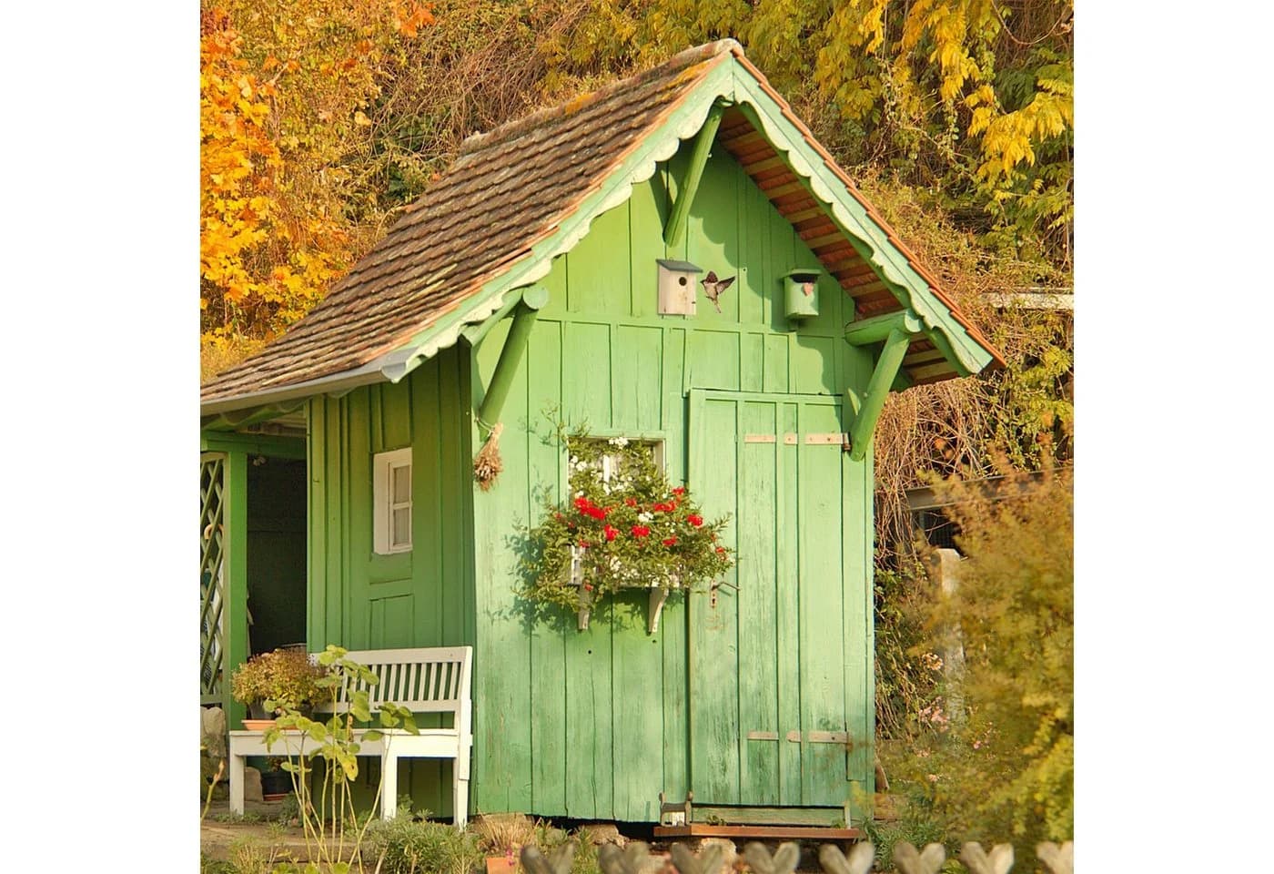relaxdays Vogelhaus Nistkasten Grün Tannenholz - Bild 5