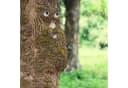 relaxdays Gartenfigur Baumgesicht 4-teilig Mehrfarbig Wetterfest Bild 1