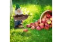 RELAXDAYS Gartenzwerg mit Vogeltränke Bunt Polyresin Bild 5