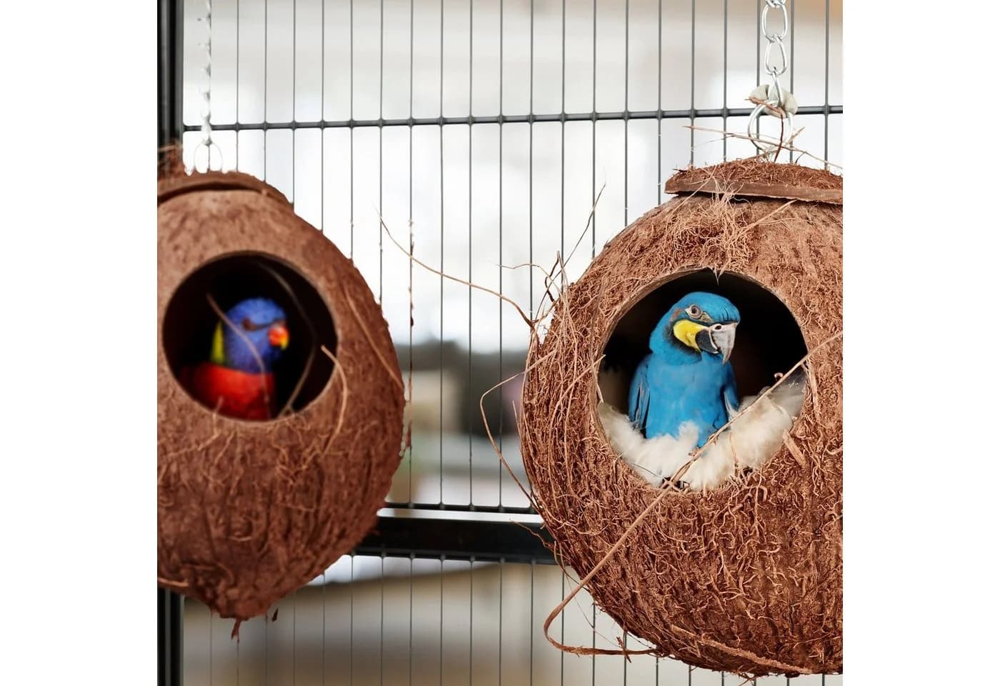 relaxdays Vogelhaus Kokosnuss 2er Set Natur/Silber