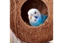 relaxdays Vogelhaus Kokosnuss 2er Set Natur/Silber Bild 3