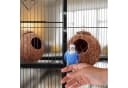 relaxdays Vogelhaus Kokosnuss 2er Set Natur/Silber Bild 5