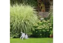 relaxdays Gartenfigur buddelnder Hund Weiß Schwarz Polyresin Bild 1